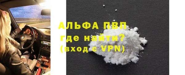 индика Белокуриха