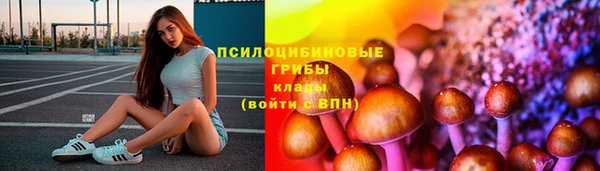 индика Анжеро-Судженск