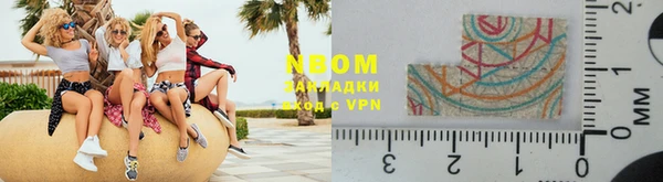 индика Белокуриха