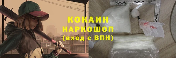 индика Белокуриха