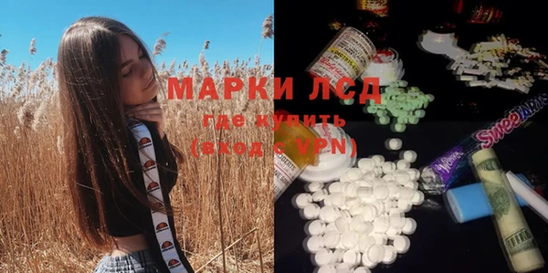 индика Белокуриха