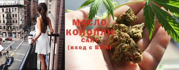 индика Белокуриха