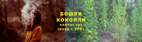 спайс Анива