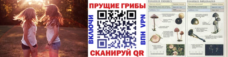 Псилоцибиновые грибы Magic Shrooms Бузулук