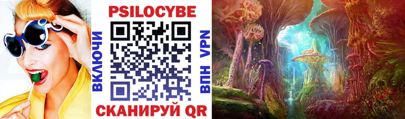 Псилоцибиновые грибы Psilocybe  Бузулук 